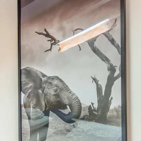 アパート Graca's Cozy Duplex